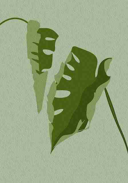 鉴黄师电脑版——法律边界流量密码内行视角 第1张 鉴黄师电脑版——法律边界流量密码内行视角 第1张